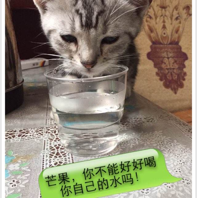 西部卫生科学大学教育部留服认证